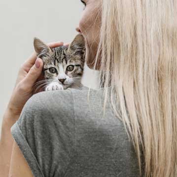 Coordinación de seguridad y salud en obra en Granada